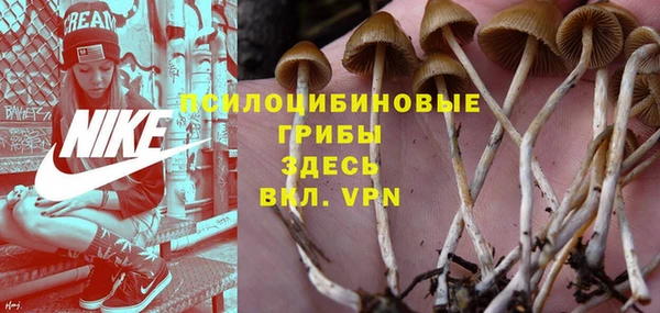 хмурый Покачи