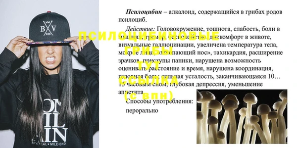 spice Заводоуковск