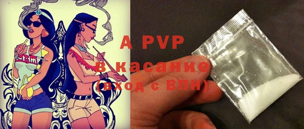 хмурый Покачи