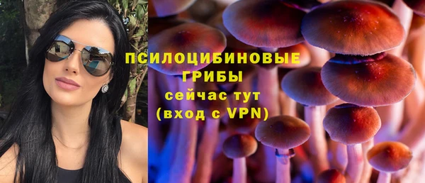 прущие крисы Покровск