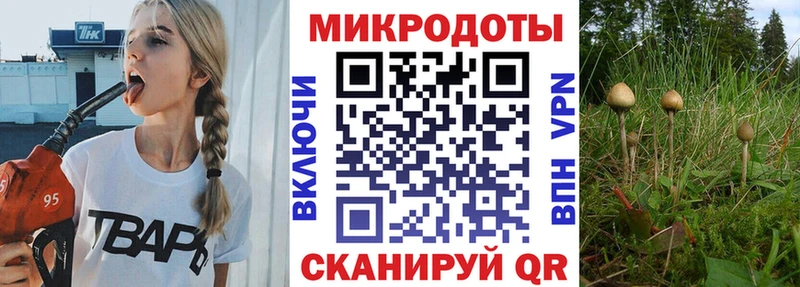 ссылка на мегу онион  закладки  Протвино  Галлюциногенные грибы MAGIC MUSHROOMS 