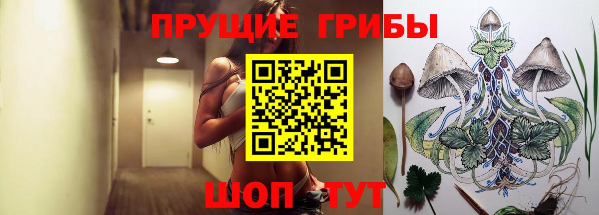 Галлюциногенные грибы прущие грибы  Псилоцибиновые грибы прущие грибы  Протвино  Вход с VPN 