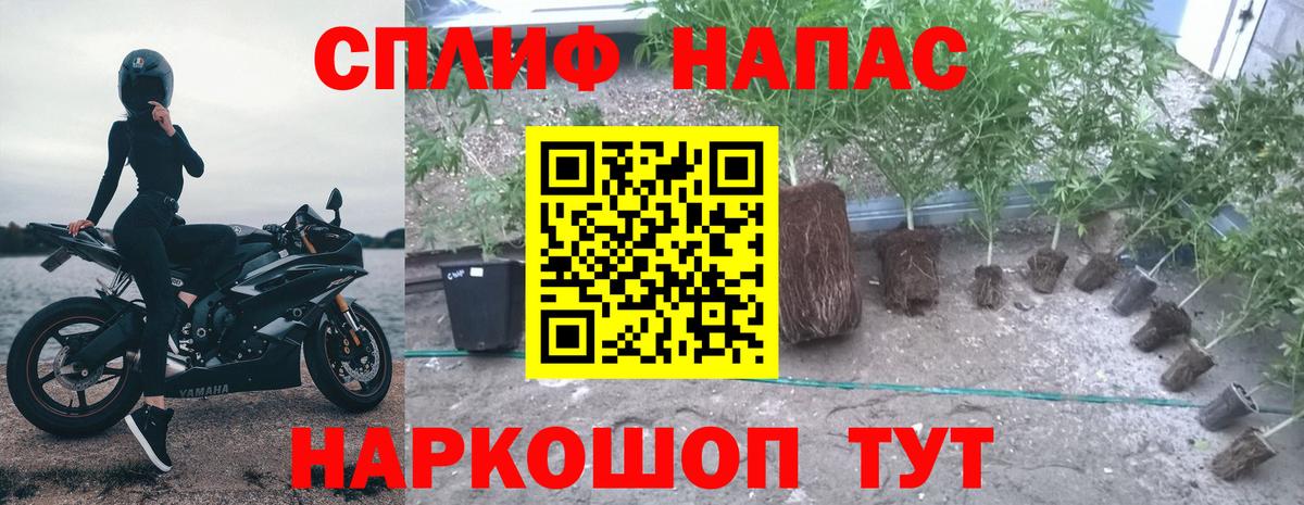 Марихуана гибрид  Марихуана гибрид  Протвино 