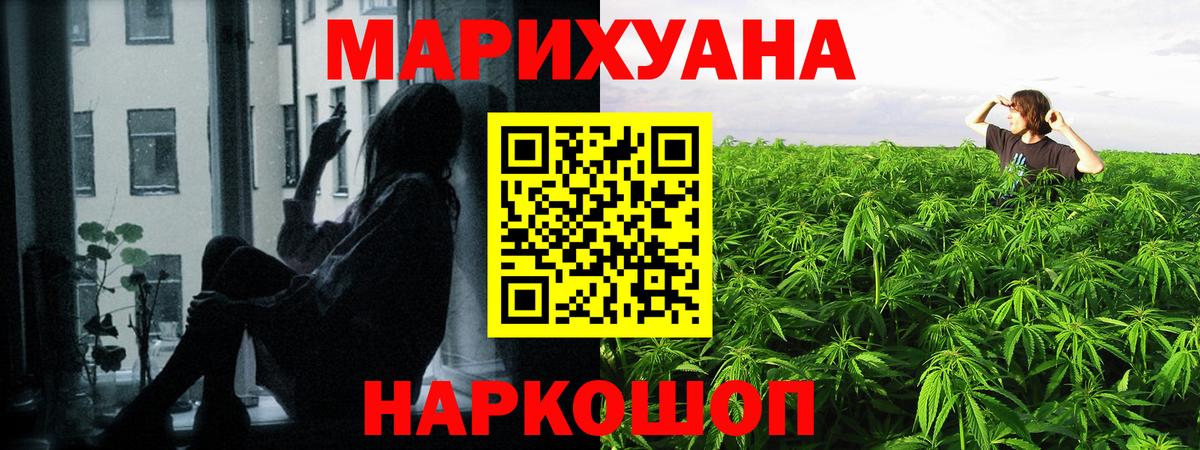 Конопля OG Kush Протвино